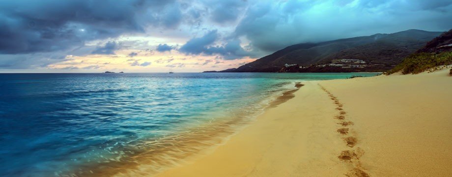 Beach trail