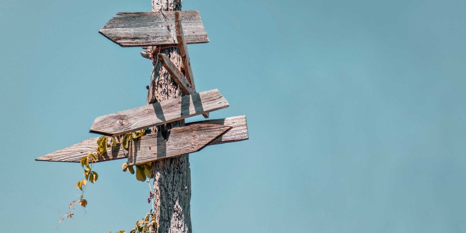 signposts-edited-for-web-sara-kurfess-ELuA9ispQHo-unsplash_edit-2056×1028