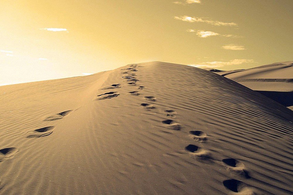 walk_with_god